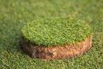 GolfRekord 2013